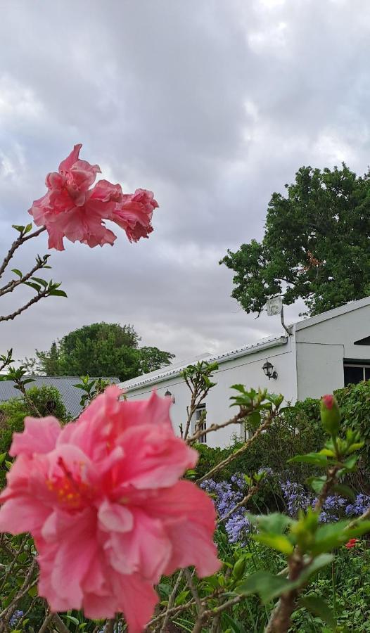 Winterson En Somerkoelte Swellendam Kültér fotó